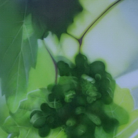 unclear, out of focus, green, grape, airbrush, canvas, photorealistic, art, painting, handmade, grape leaves, wine, vintage, harvest, tamas mike